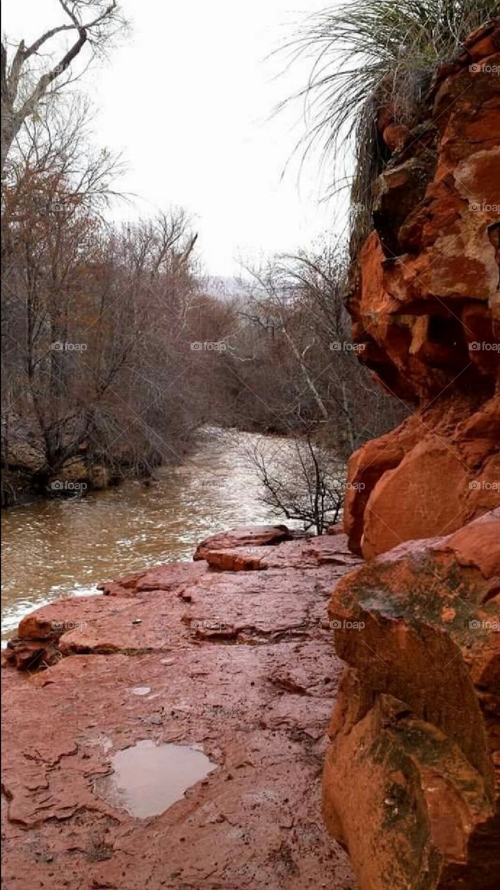 Wet Beaver Creek, Arizona.