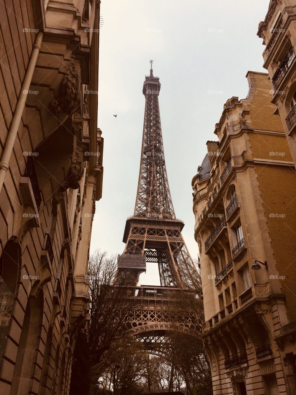 Eiffel looking good! 