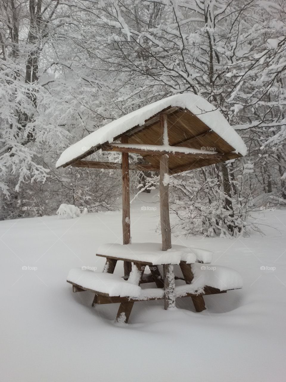 mountain covered with snow