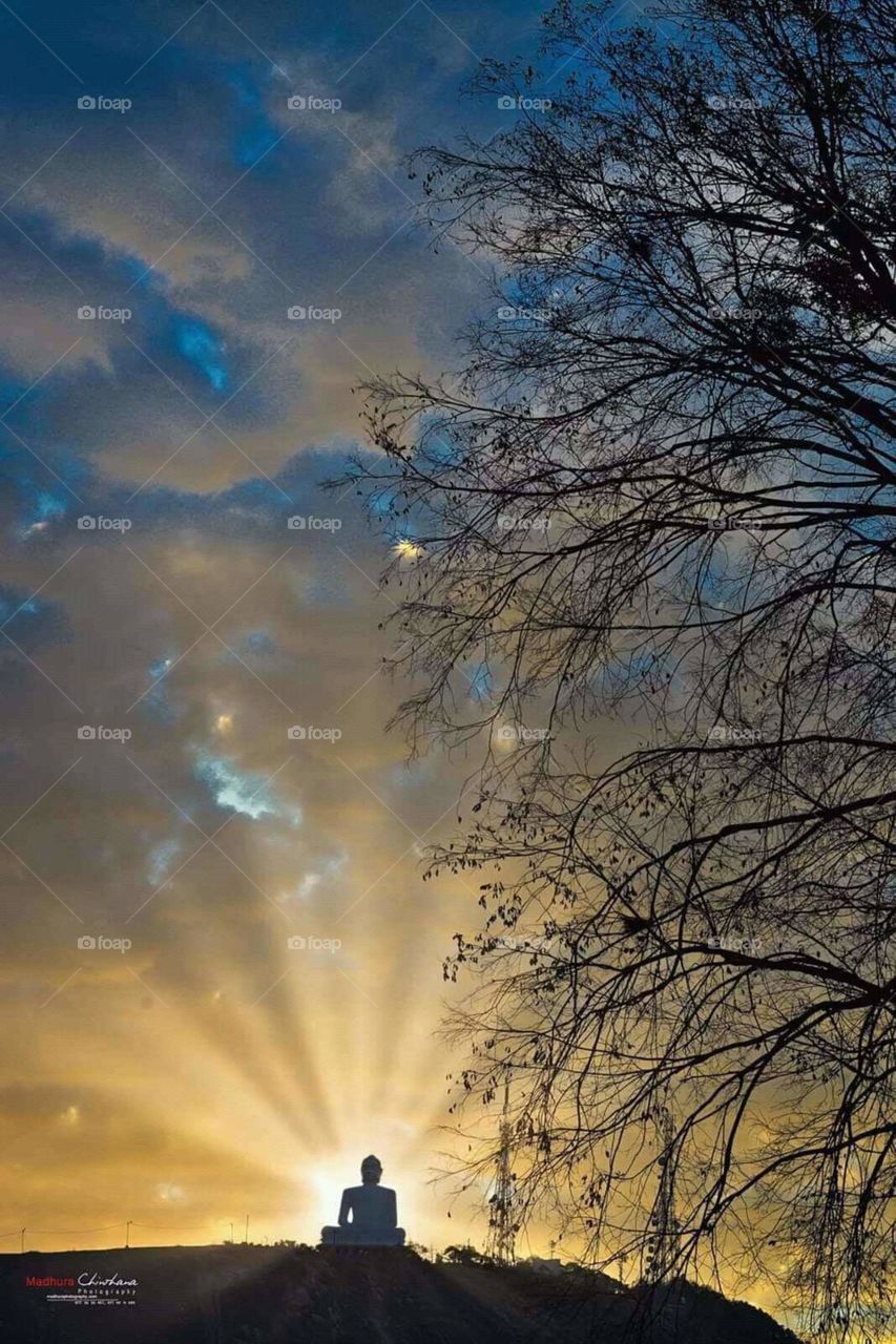 how much do you like this photo