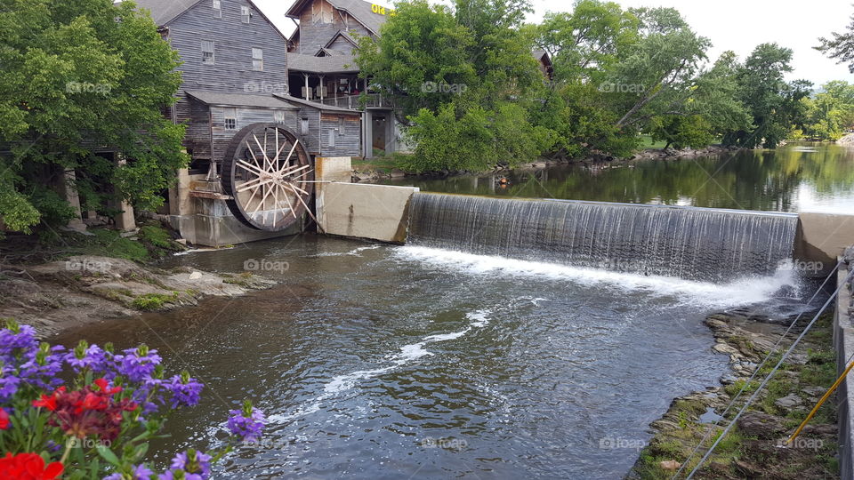 The Old Mill