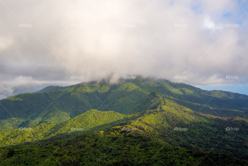 El Yunque National forest