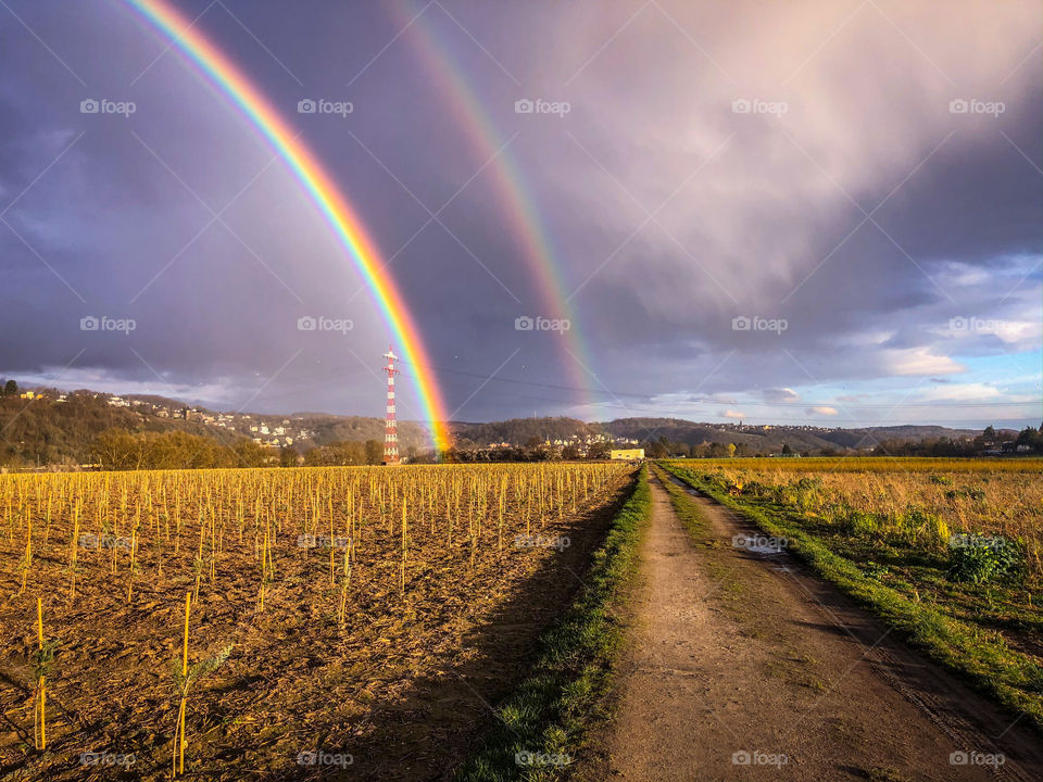 Road to the Rainbow 