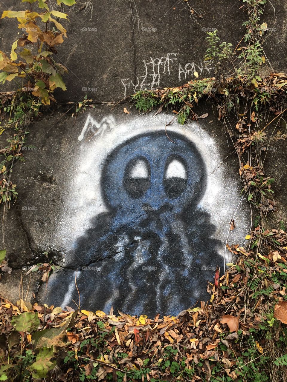 Octopus graffiti on wall 