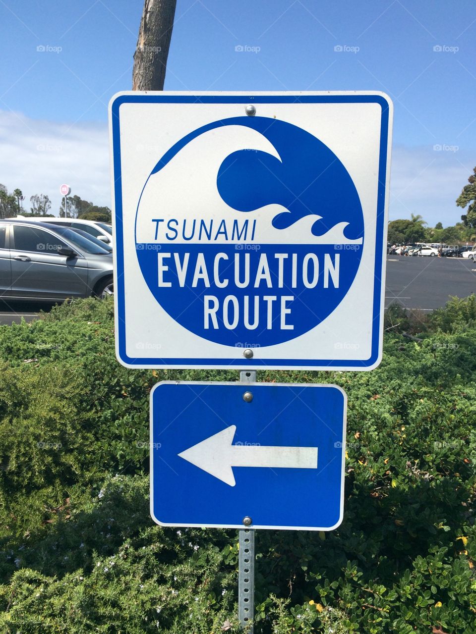 Tsunami evacuation 