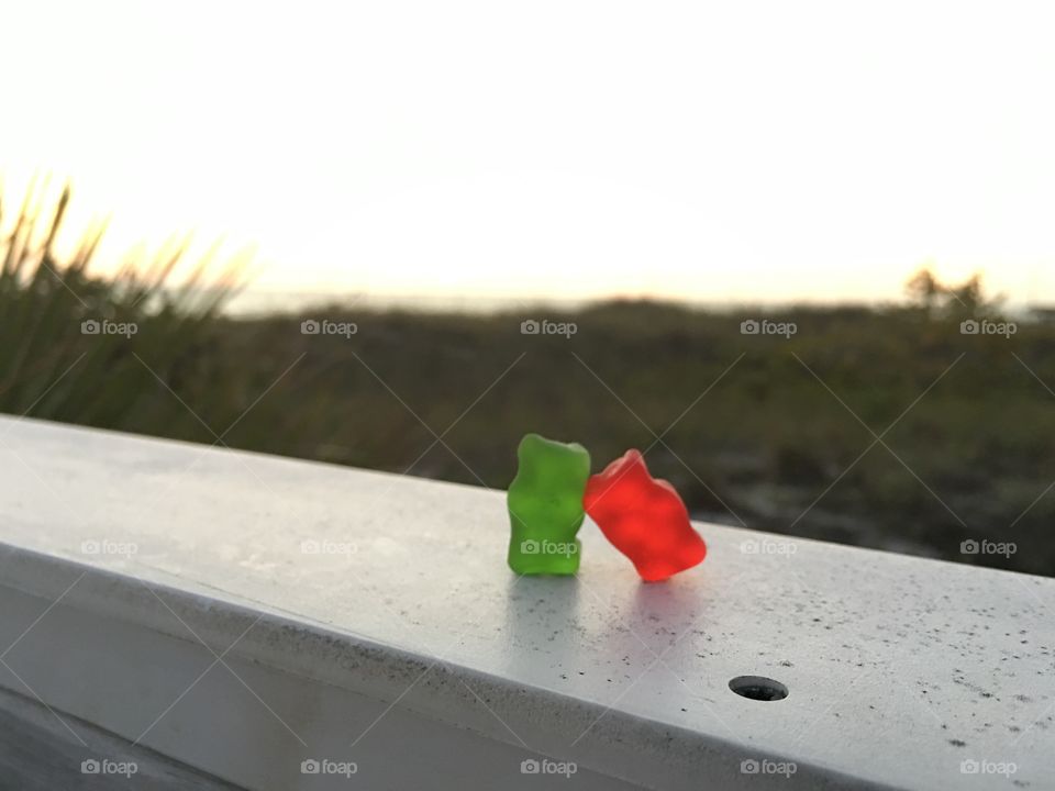 A gummy bear honeymoon 