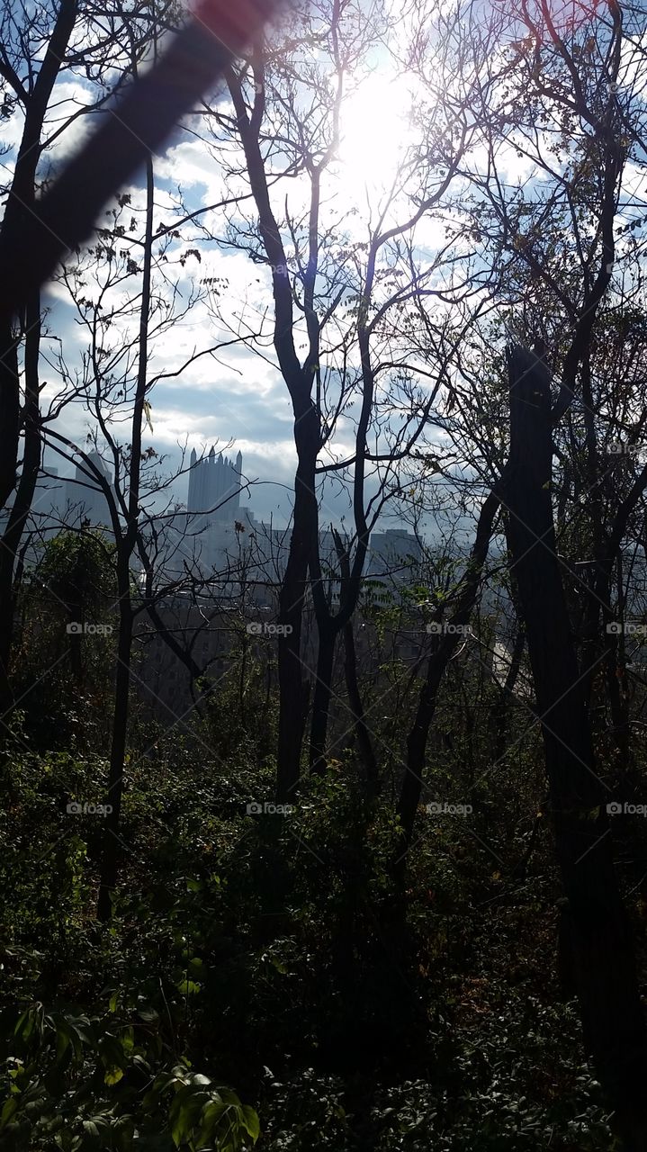 a portion of Pittsburgh's skyline visible through a copse of trees on the edge of a parking lot