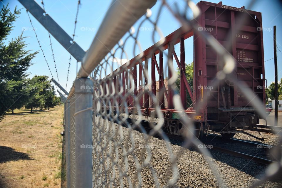 Fence and Train