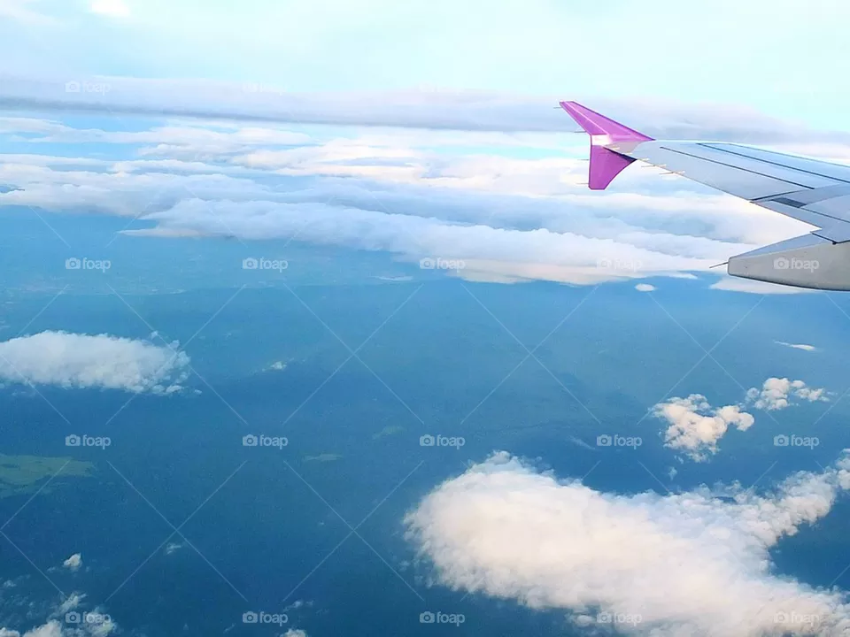 fly