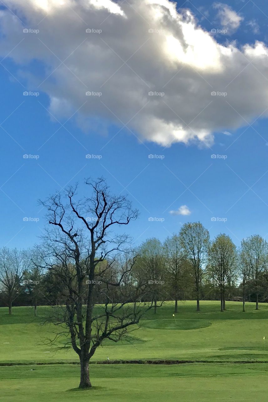 Puffy clouds over lush green golf course 