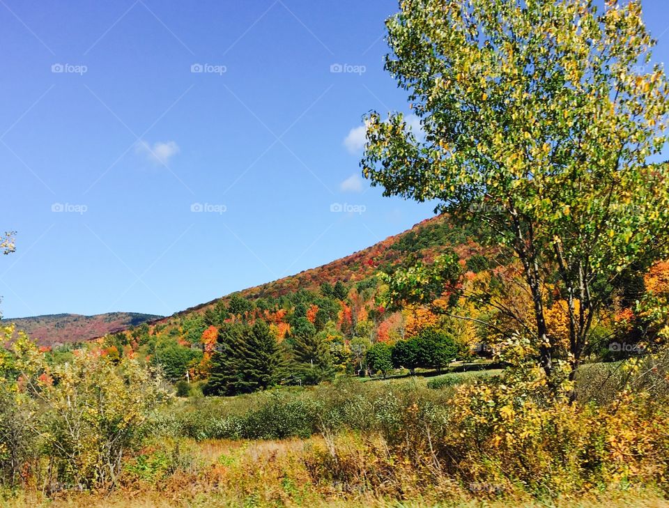 Vermont colors