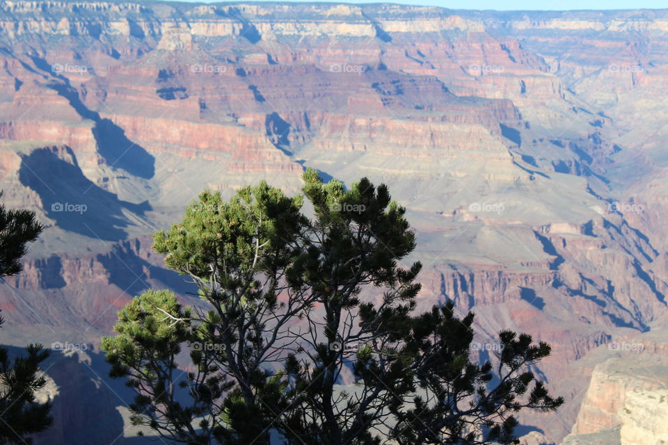 Grand Canyon