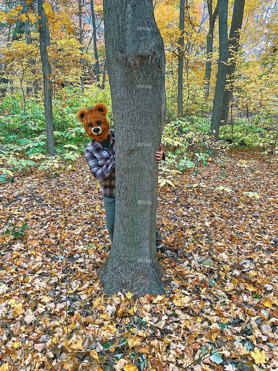 Creepy bear in the woods, woman wears bear mask in the forest, Halloween costume in the woods, surprises in the woods, scary masks in the woods 