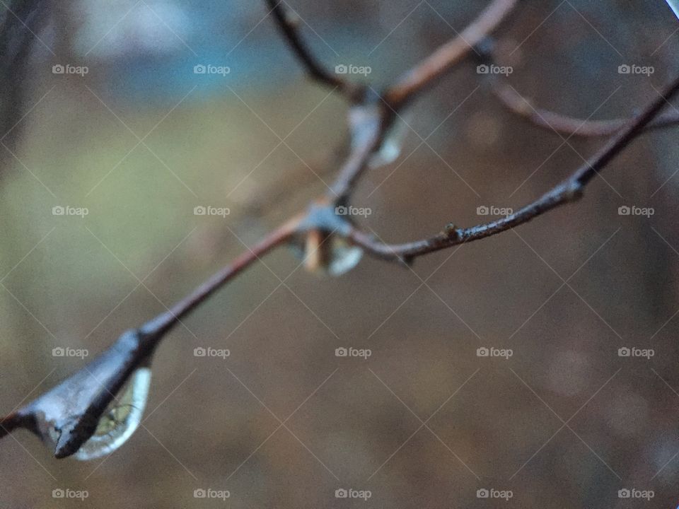 Anatomy of a Raindrop 