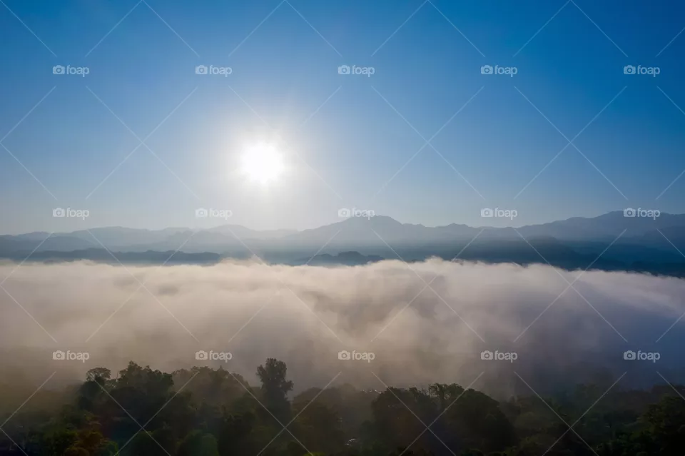 Editor's Choice: Photo of the Week