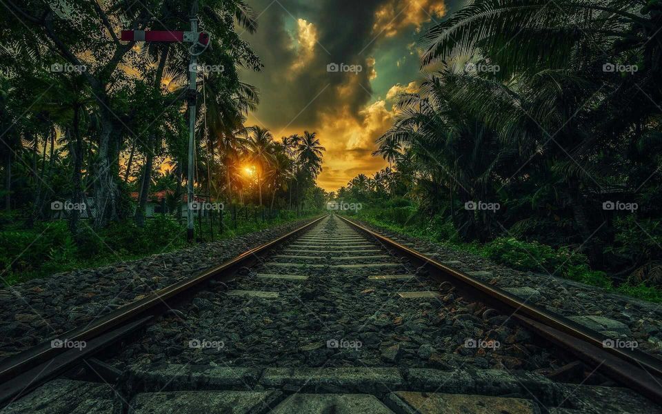 Sri Lankan Railroad..