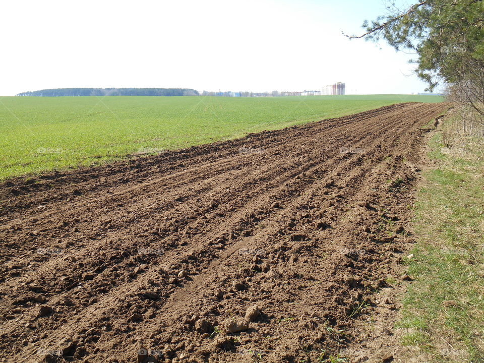 Soil, Agriculture, Farmland, No Person, Farm