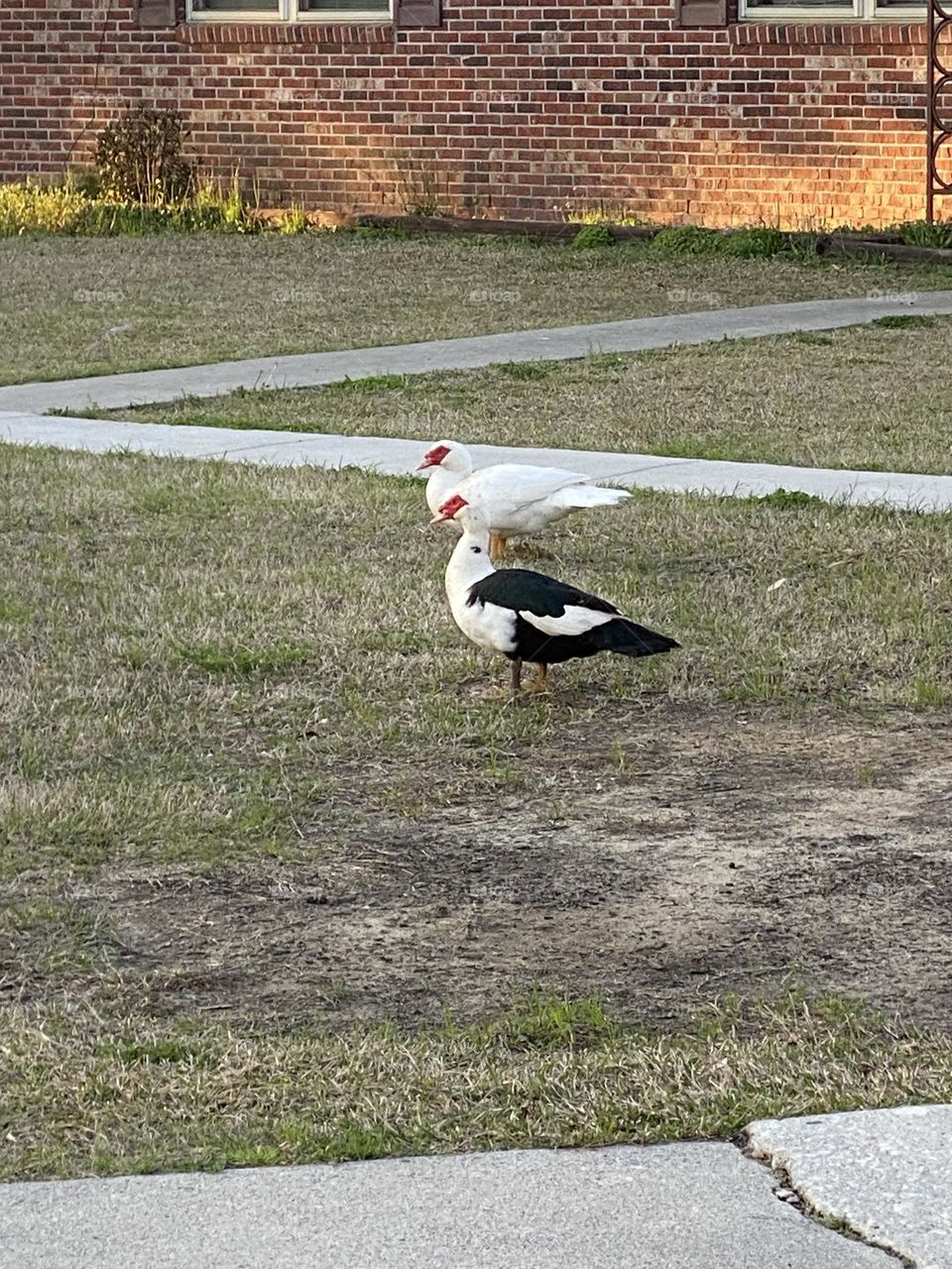 Look at these two cuties 