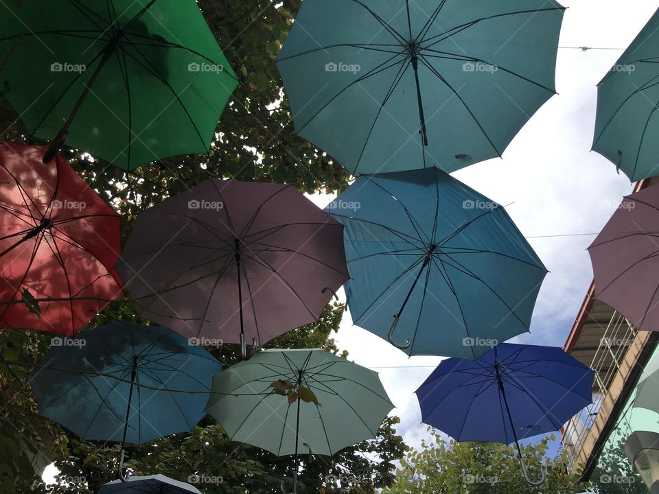 Umbrellas above