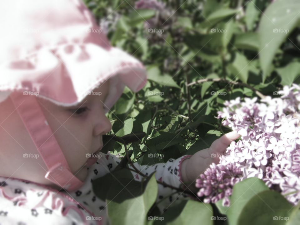 smelling the lilacs
