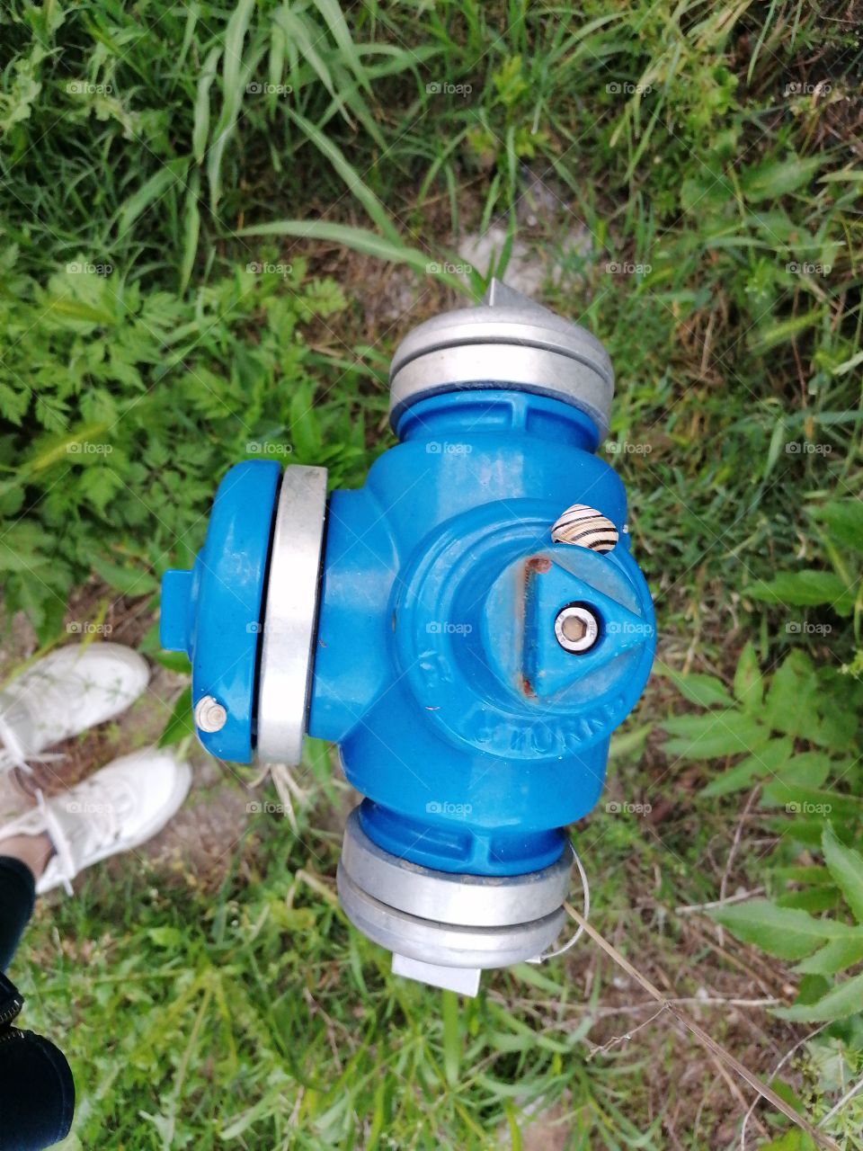 Blue hydrant