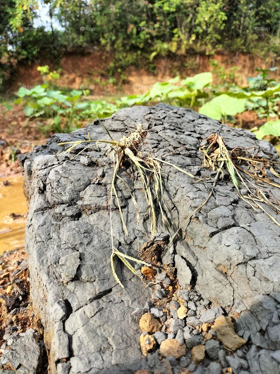 water-eroded rock texture