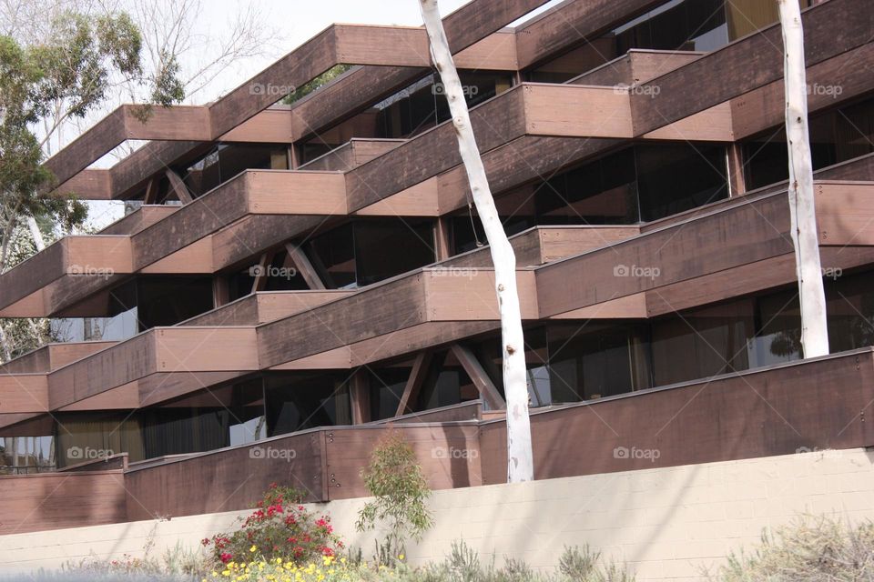 every thing has an order