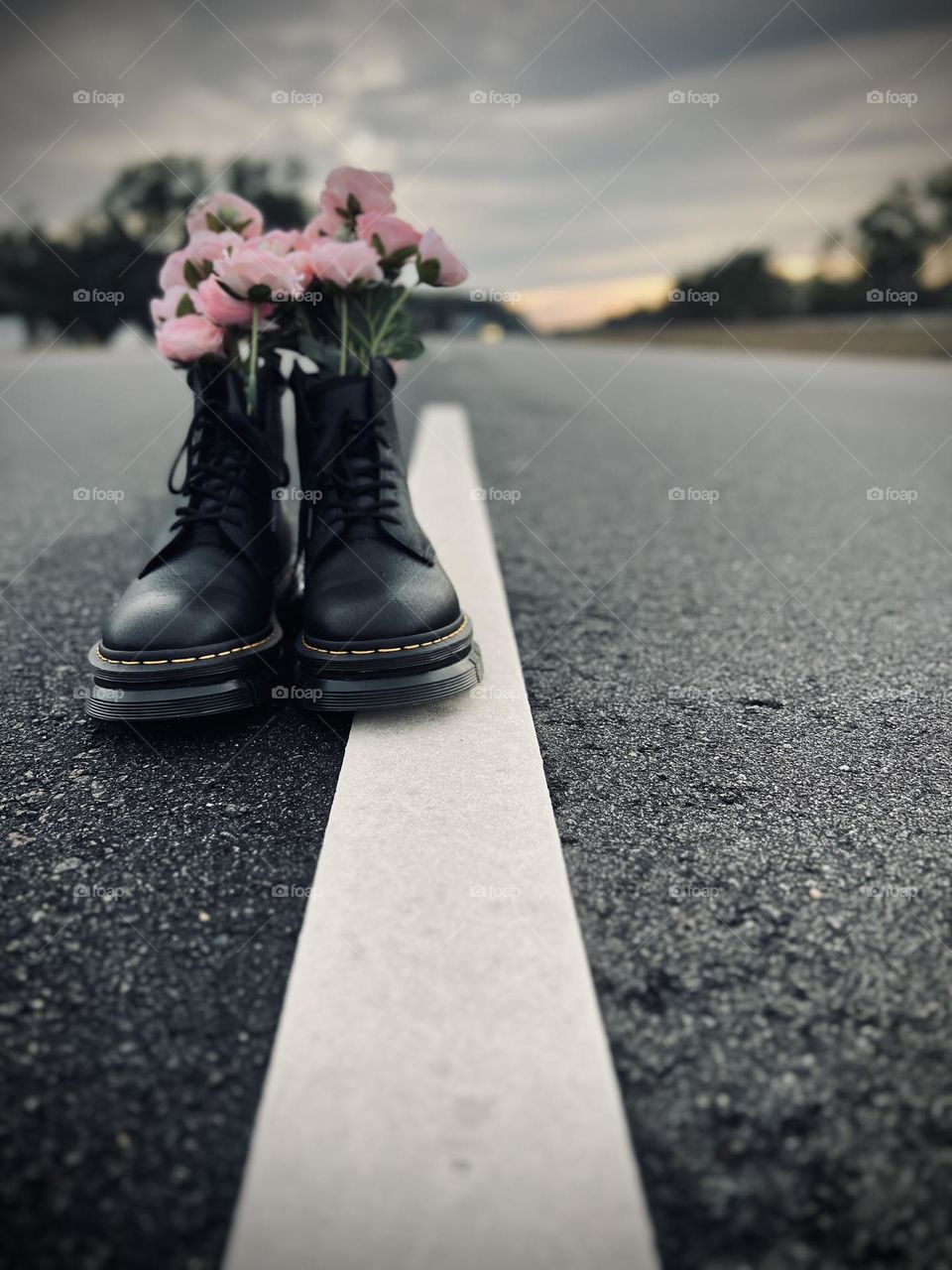 I did run into the Highway for this awesome shot 