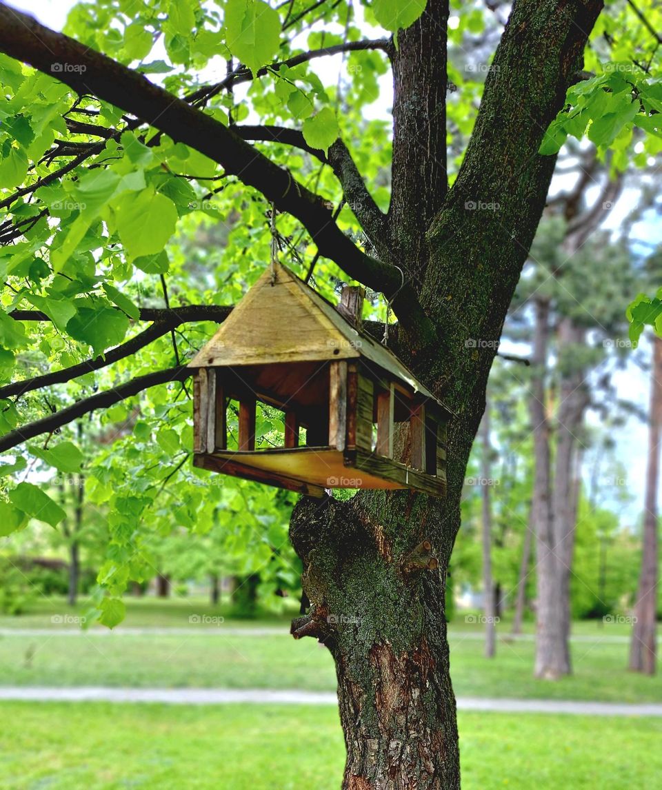 bird house in the park in spring