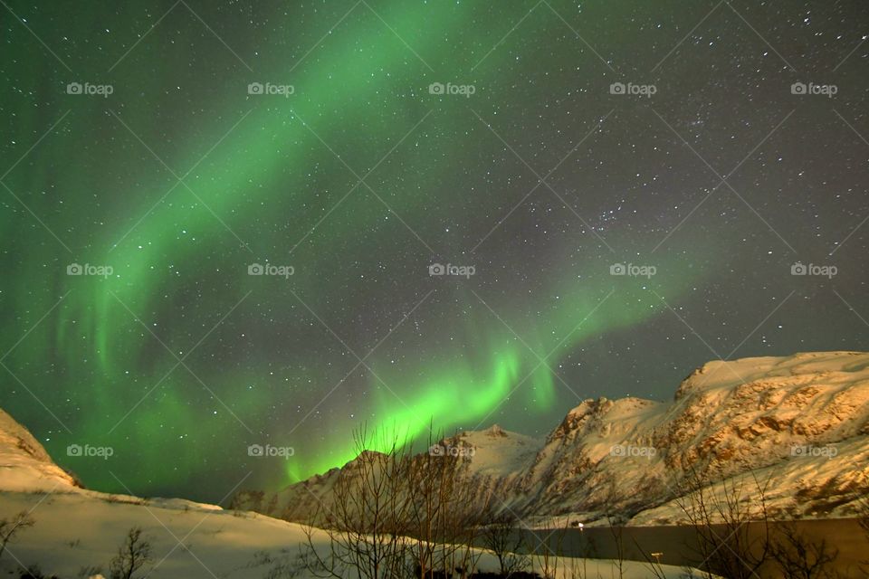 Beautiful dancing Northern lights