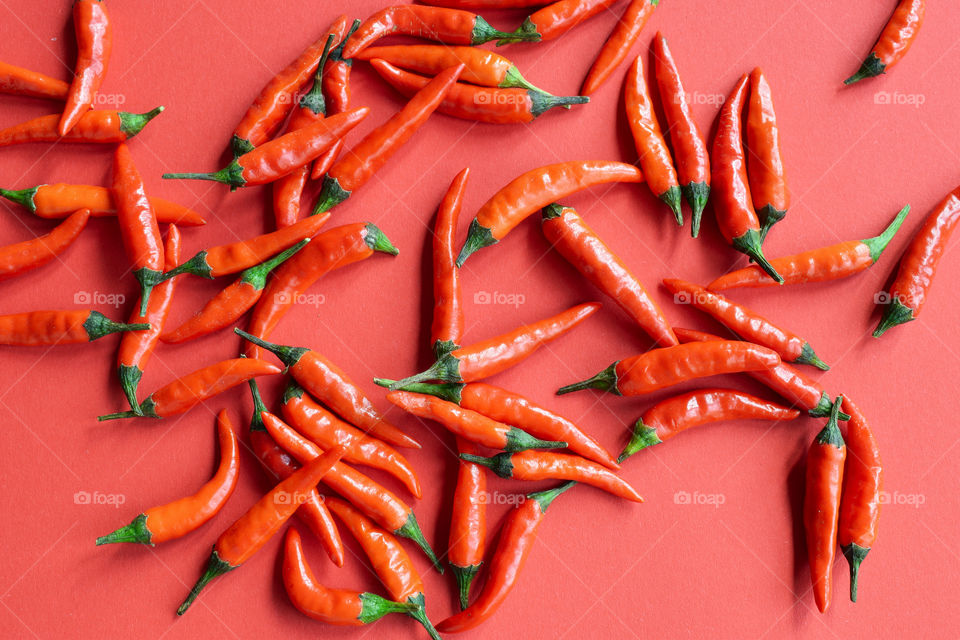 Red chilli peppers in red background 