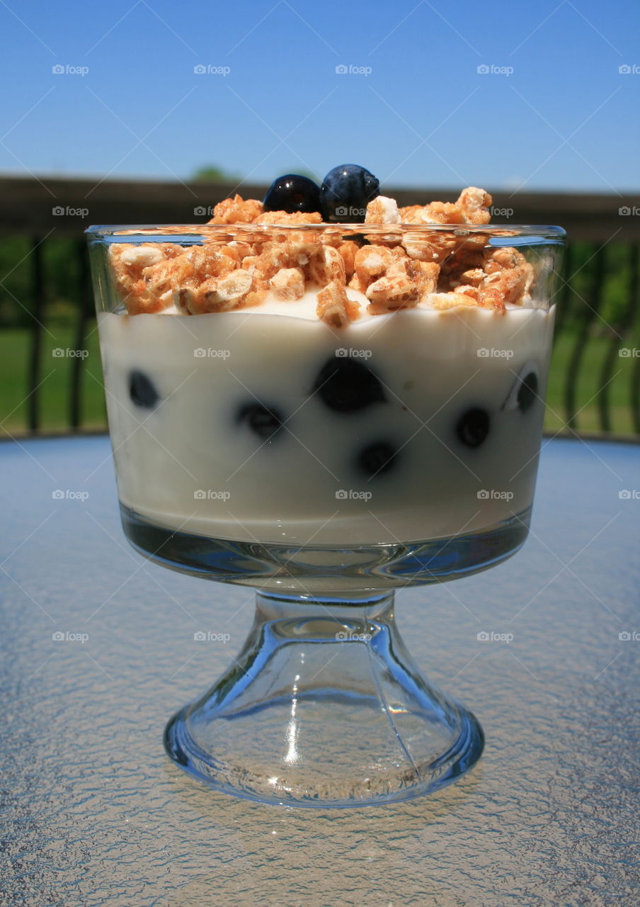 Yogurt and Blueberries 