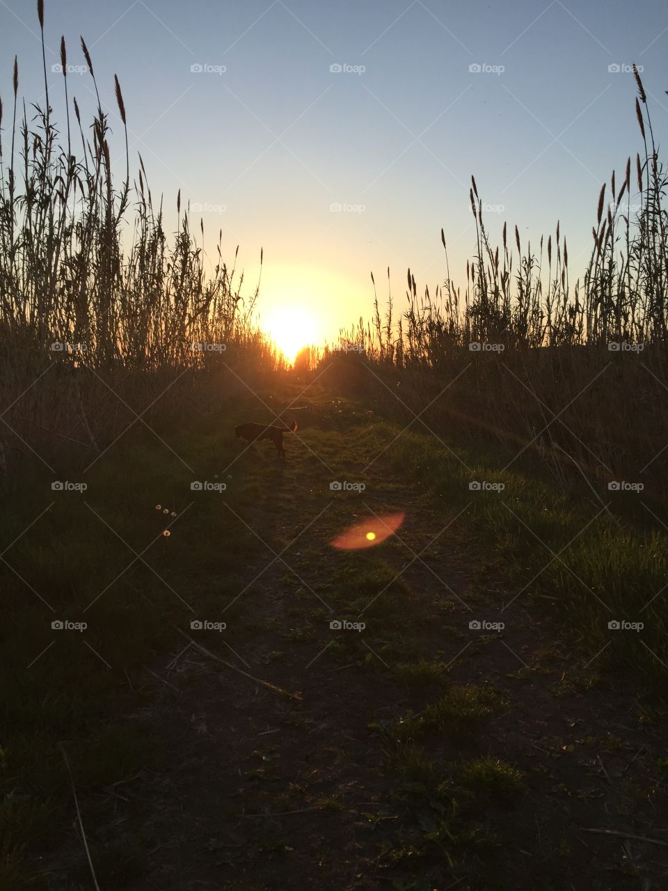 Follow your own sun path