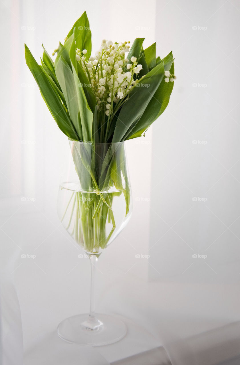 Lily of the valley in a window with white curtain