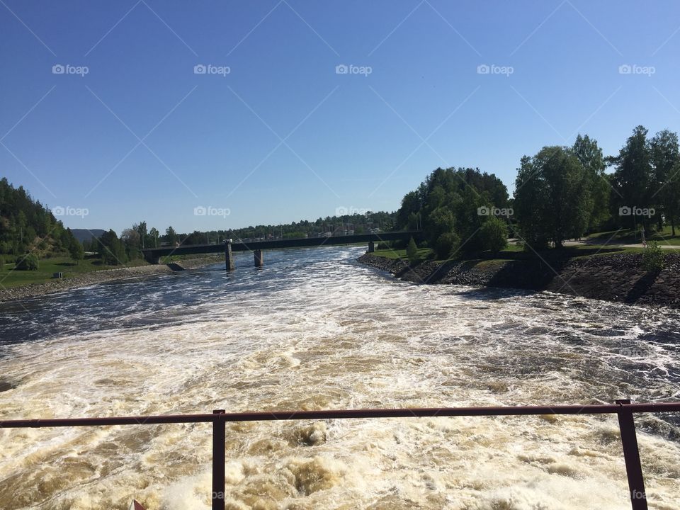 Water, Tree, River, Landscape, Nature