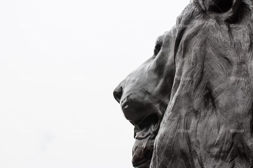 Trafalgar Square Lion