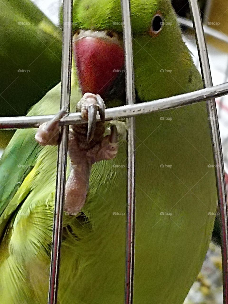 grip is tight facing the camera 📷 with confidence