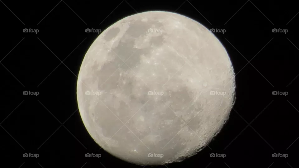 honey moon