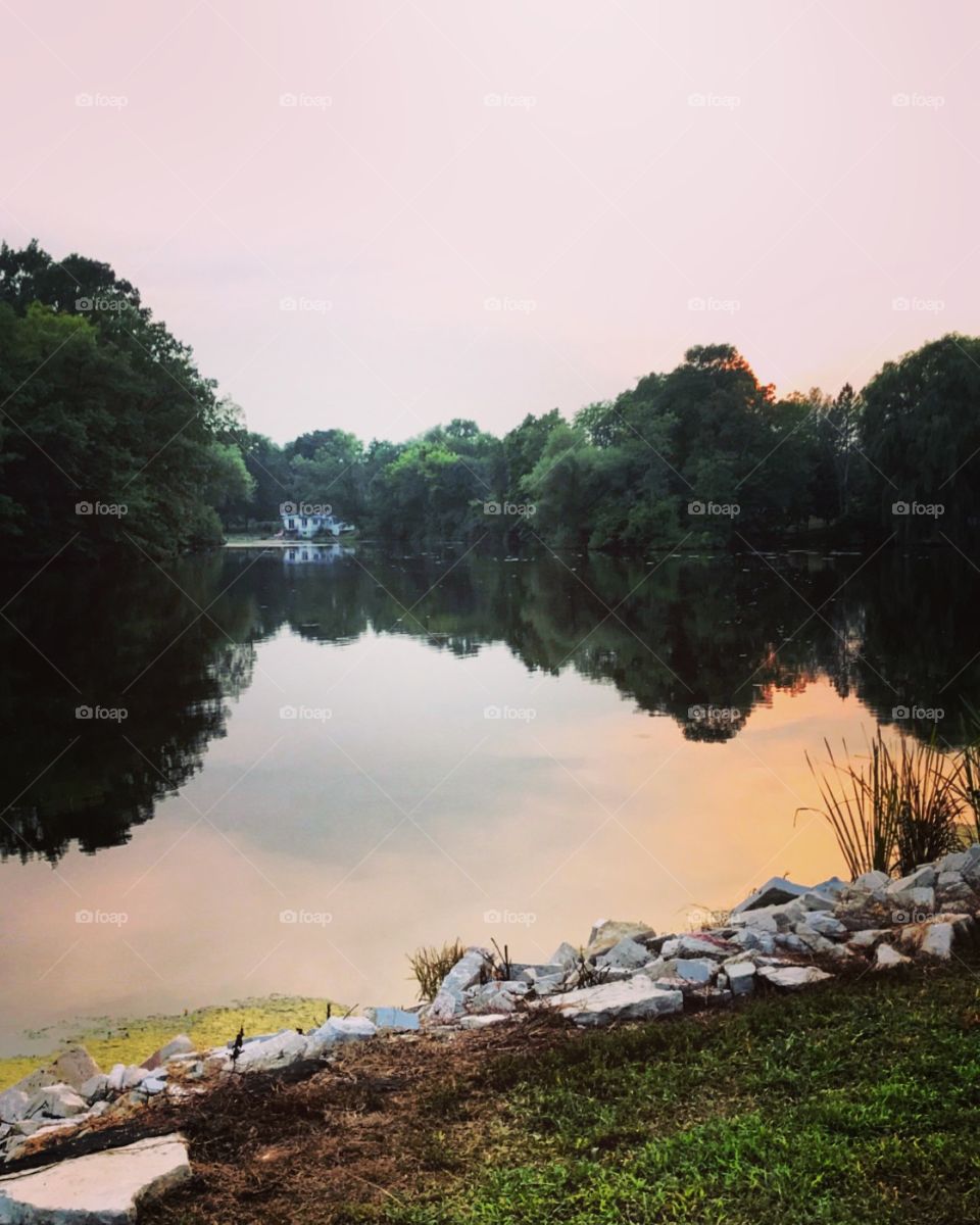 Peaceful Pond