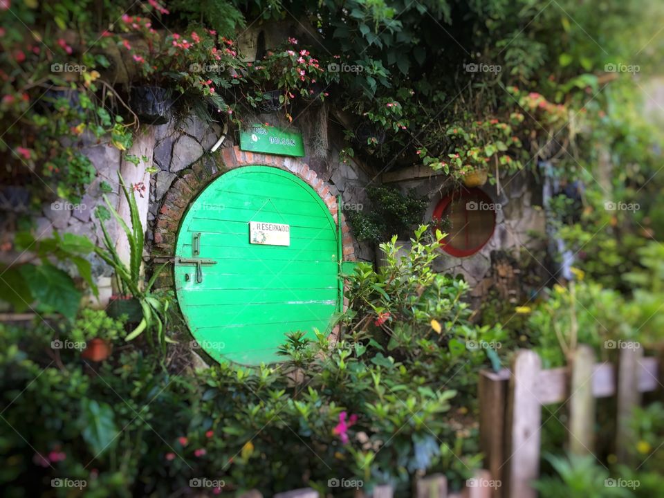 Hobbit hotel green door