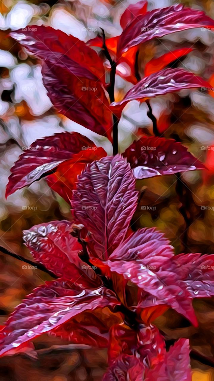 Oregon Nature in November