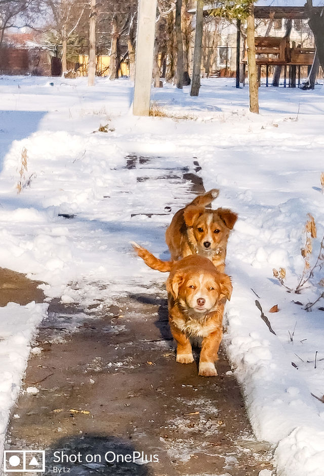 early spring