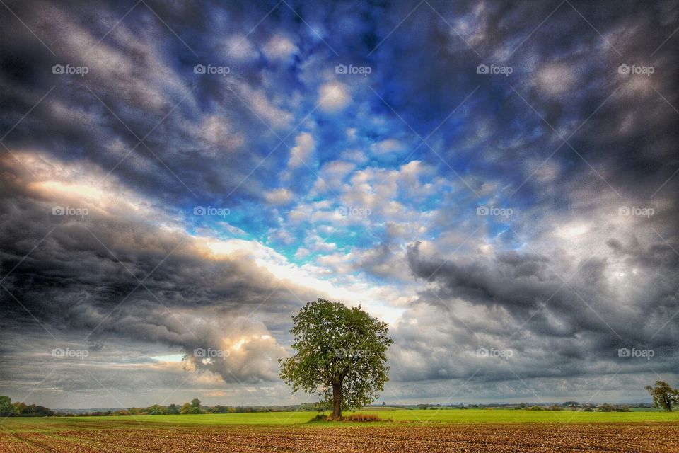 A Solitary Tree and Big Sky. A lone tree in the middle of a field under a changeable sky.