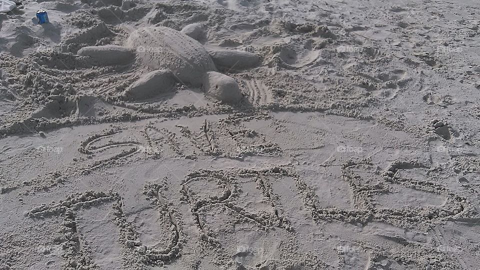 save the turtles. my sand creation at Tybee beach