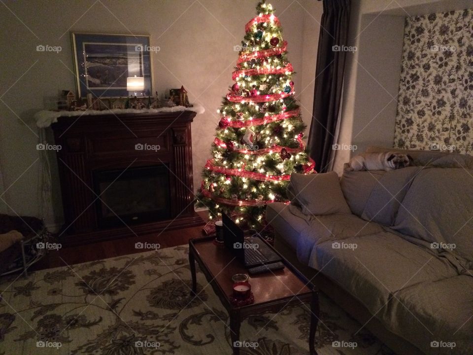 Beautiful Christmas evening! 