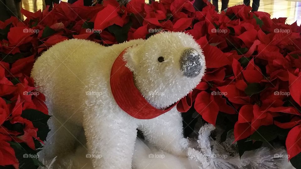 A White Polar Bear Set Among Red Poinsettias Makes A Beautiful Christmas Display