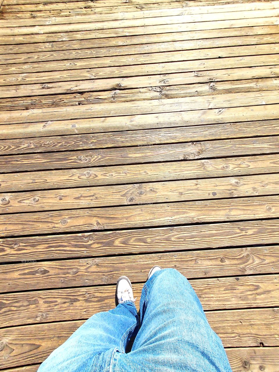 walking along the boardwalk on a sunny day in beautiful Sacramento California