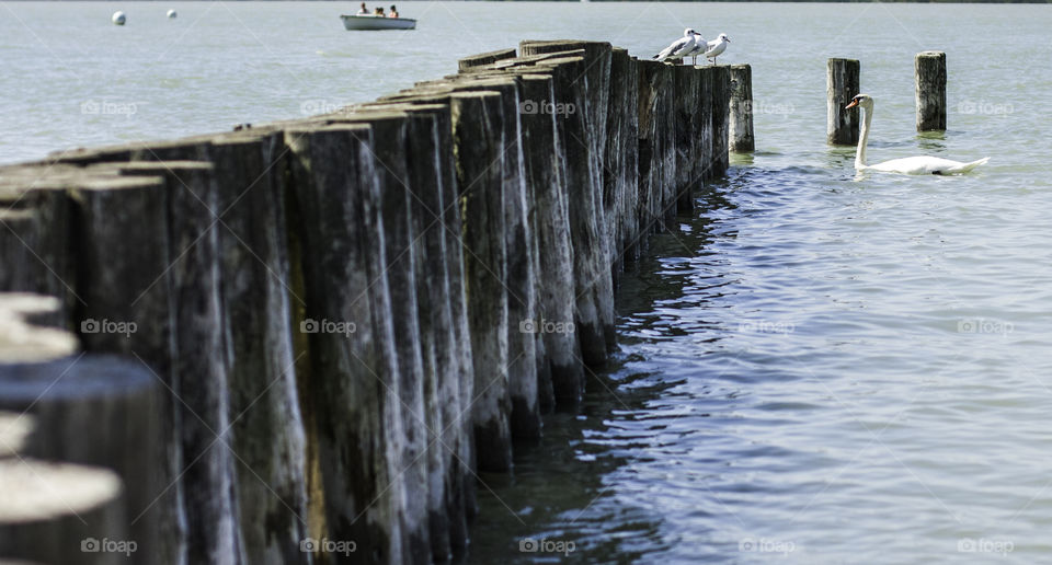 Close-up of wooden post on lake