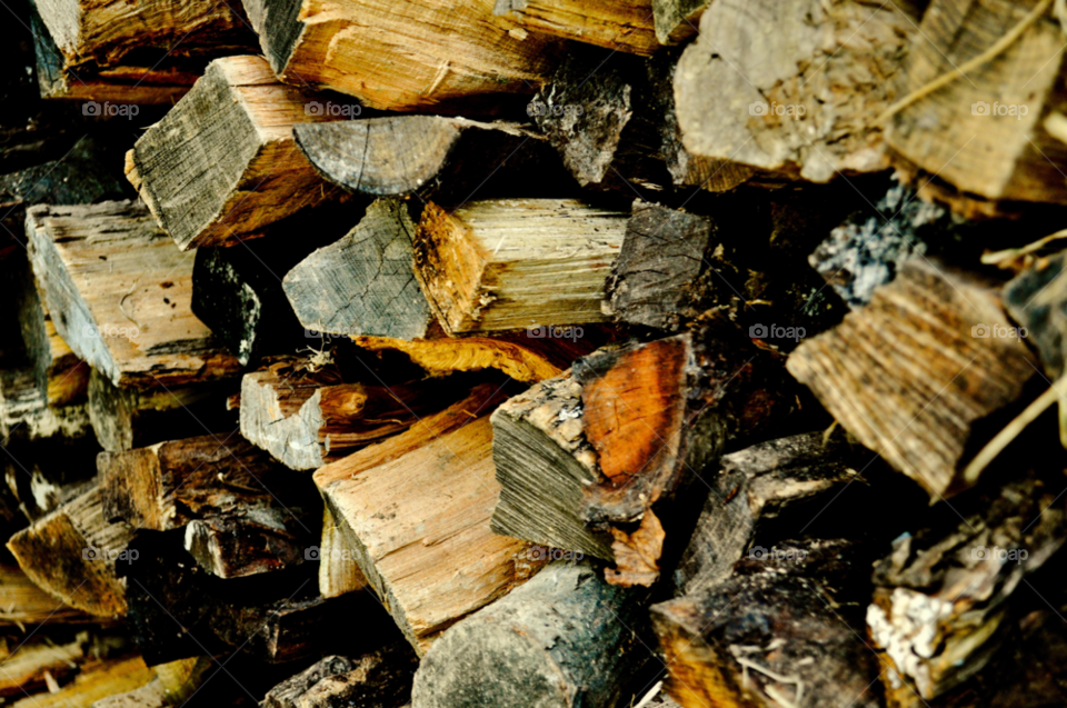 wood pile by refocusphoto