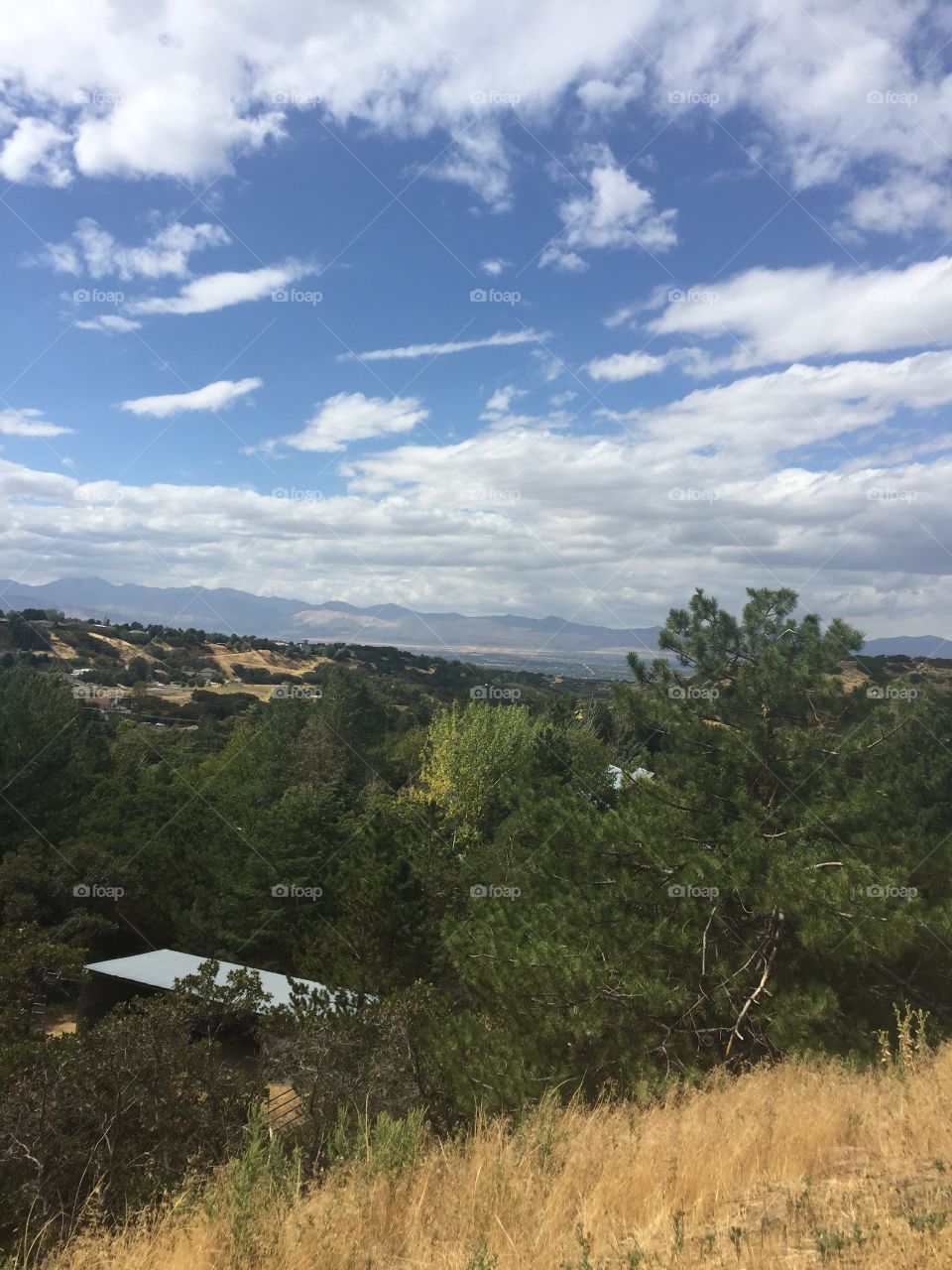Beautiful Utah view